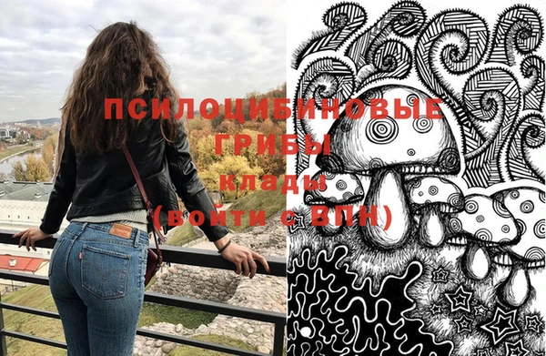 ECSTASY Верея
