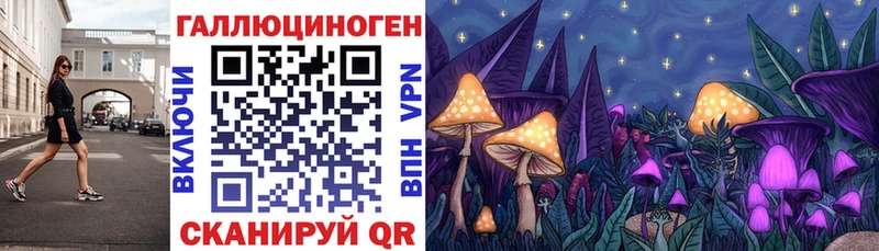 Галлюциногенные грибы Magic Shrooms Новочебоксарск